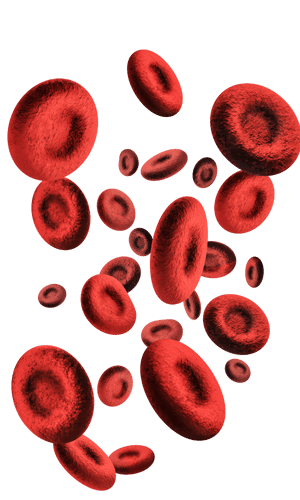 Red blood cells